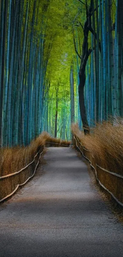 Bamboo forest pathway with lush greenery and a serene atmosphere.