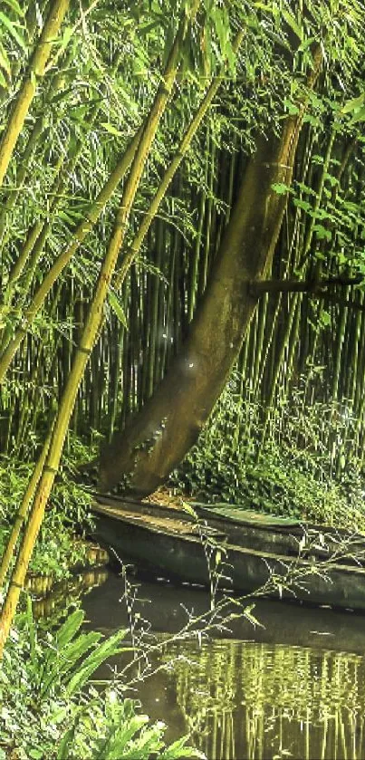 Peaceful bamboo forest scene with a boat by the water, surrounded by green foliage.