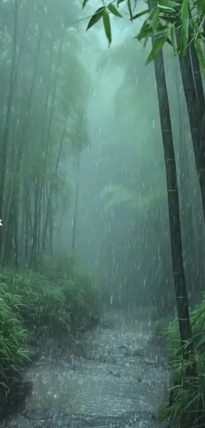 Serene bamboo forest in the rain, lush and calming wallpaper.