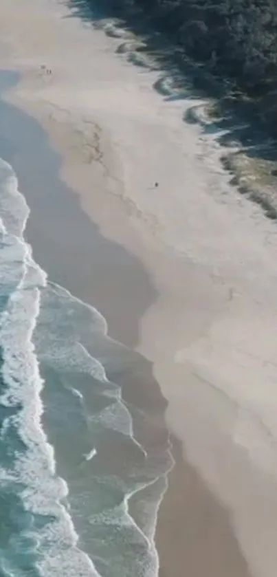 Aerial view of a serene beach with waves and sand.