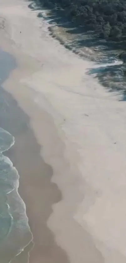 Aerial view of a serene beach with gentle waves on a sandy shore.