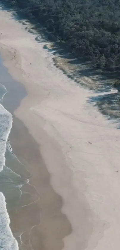 Aerial view of a serene beach with clear sea and lush greenery.