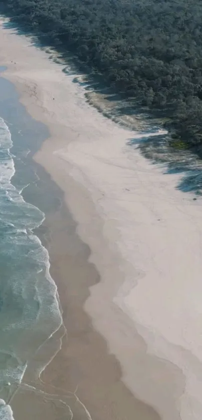 Aerial view of a serene beach with waves and lush greenery.