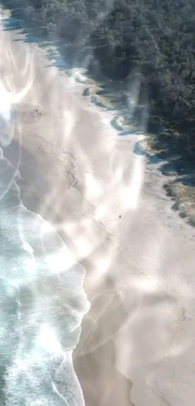 Aerial view of serene beach meeting ocean and forest.