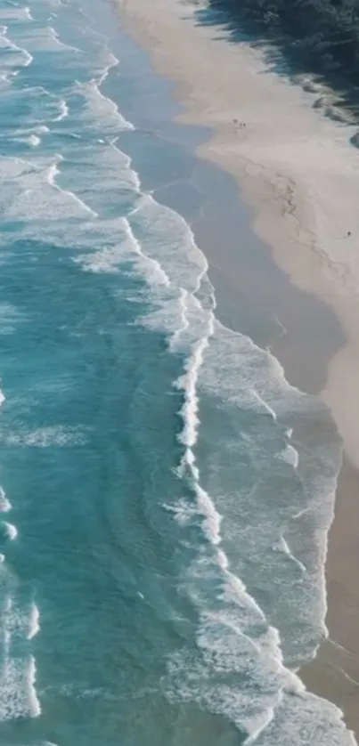 Aerial view of calm beach waves and sandy shore from above.