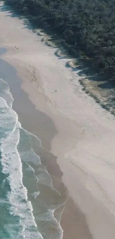 Aerial view of a serene beach with ocean waves and lush greenery.