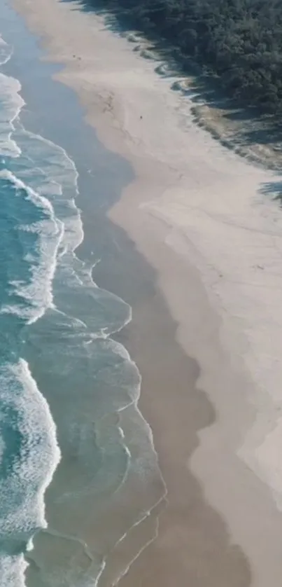 Aerial view of a tranquil beach with turquoise waves and sandy shores.