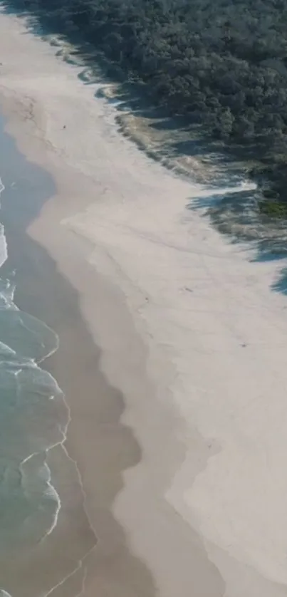 Aerial view of a serene beach with gentle waves and lush greenery.