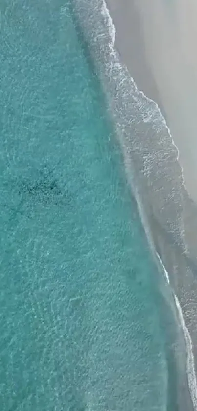 Aerial view of tranquil beach with turquoise water and sandy shore.