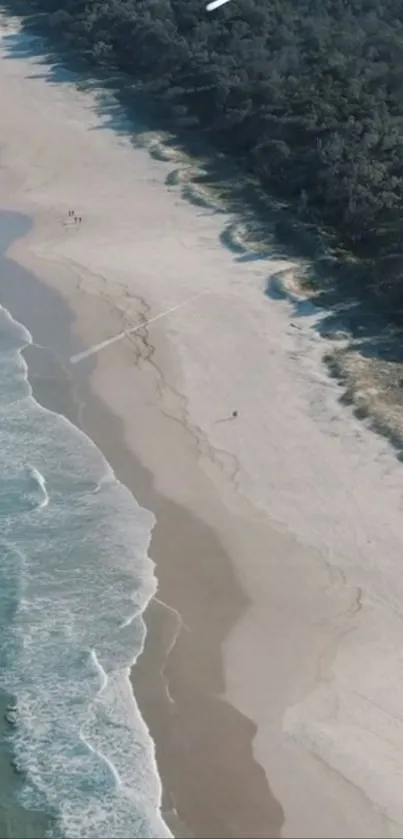 Aerial view of a serene beach with ocean waves and lush greenery.