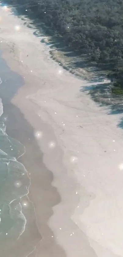 Aerial view of a serene beach with waves and lush greenery.