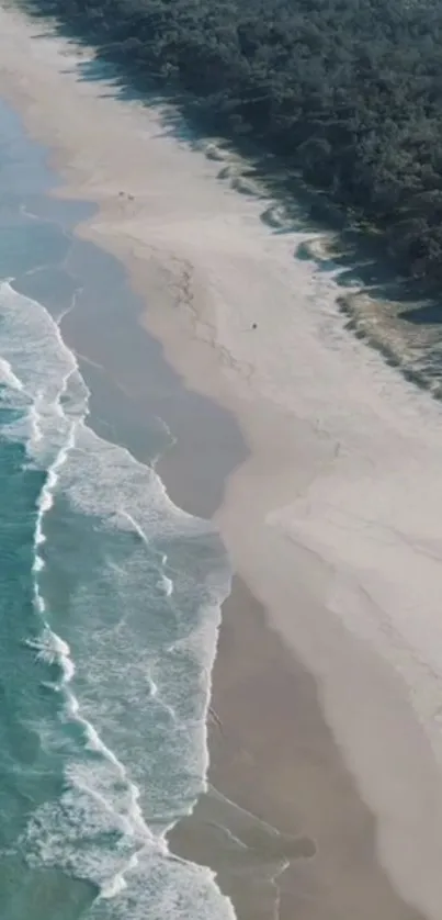 Aerial view of a tranquil sandy beach with waves and forest.