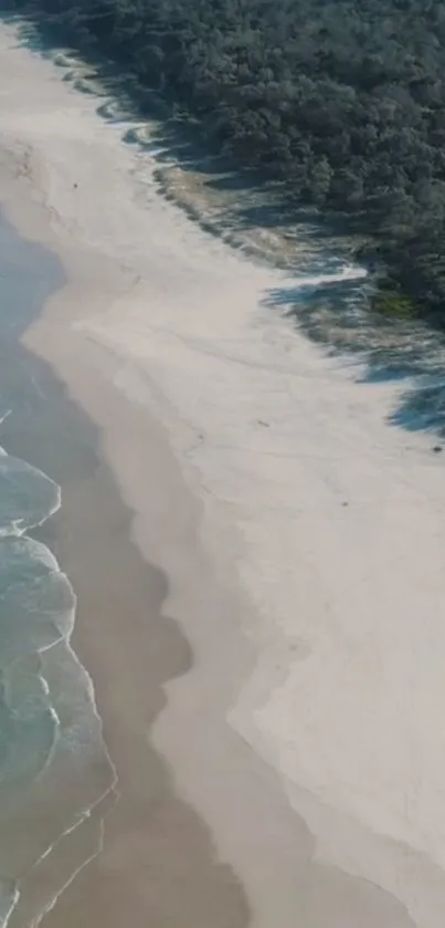 Aerial view of tranquil beach with sandy shores and lush green forest.