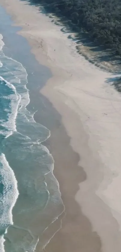 Aerial view of a serene beach with blue waves and sandy shores.