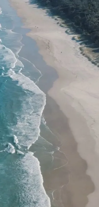 Aerial view of a serene beach with waves and sandy shore.