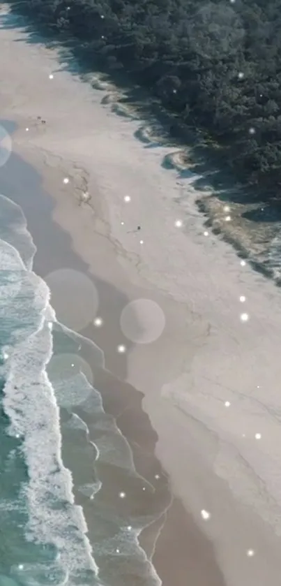 Aerial view of a serene beach with ocean waves and a lush forest border.