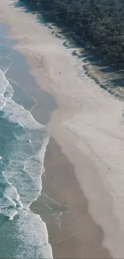 Aerial view of a serene beach with gentle waves and a pristine sandy shore.