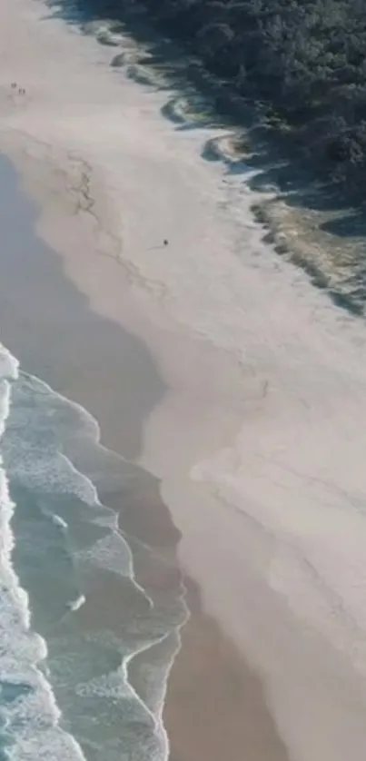 Aerial view of a serene beach with gentle waves on sandy shores.