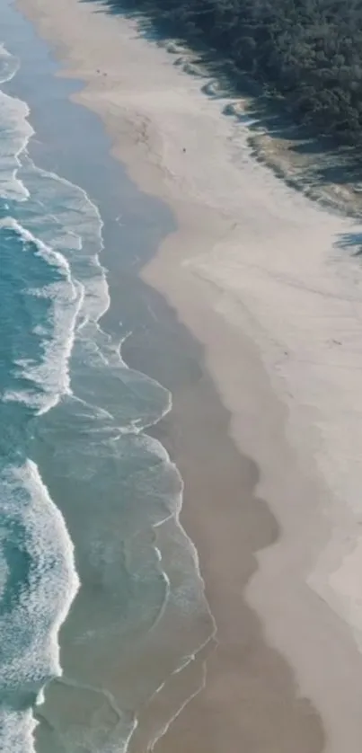 Aerial view of a serene beach with turquoise waves and sandy shores.