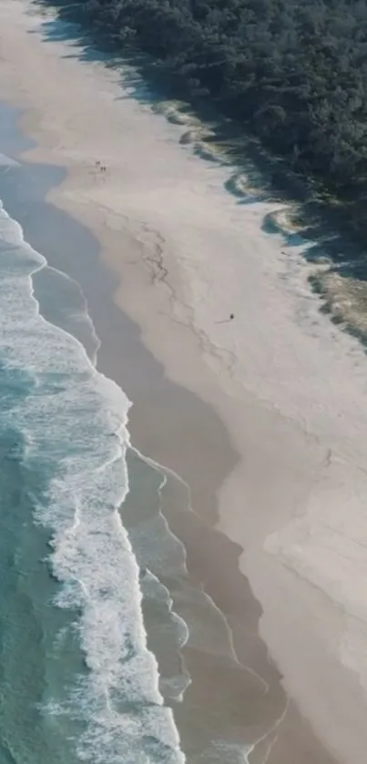 Aerial view of serene beach with turquoise waves and sandy shore.