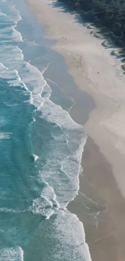 Aerial view of a serene beach with turquoise waters and a sandy coastline.