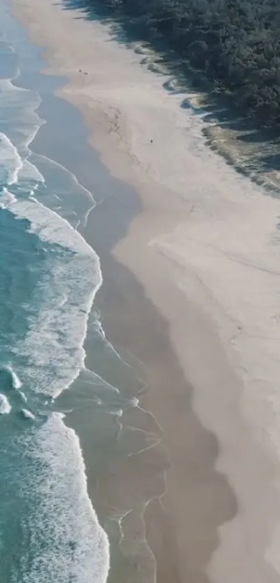 Aerial view of a serene beach with gentle waves hitting the shore.