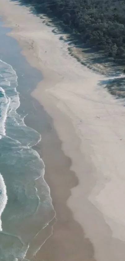 Aerial view of a serene beach with azure waters and sandy shoreline.