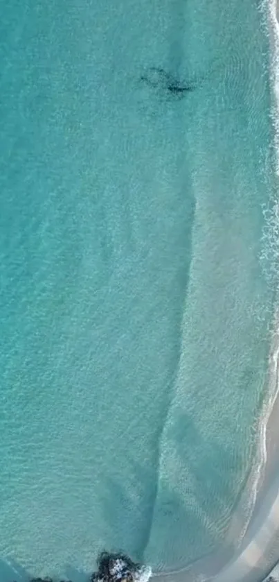 Aerial view of a tranquil beach with turquoise waters and sandy shore.