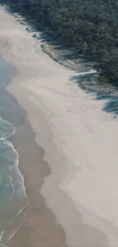 Aerial view of serene beach and ocean waves for phone wallpaper.