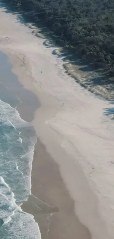 Aerial view of serene beach with ocean waves and forest.