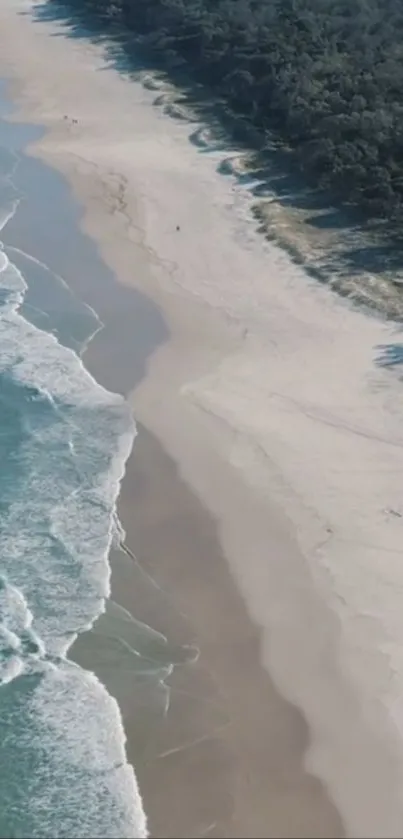 Aerial view of a serene beach with turquoise water and white sandy shore.