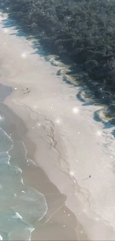 Aerial view of a serene beach with sparkling ocean waves and lush green forest.