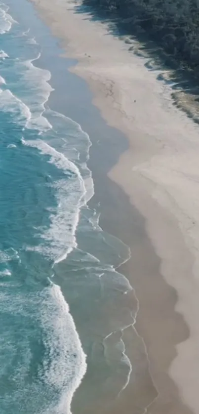 Aerial view of a serene beach with gentle ocean waves.