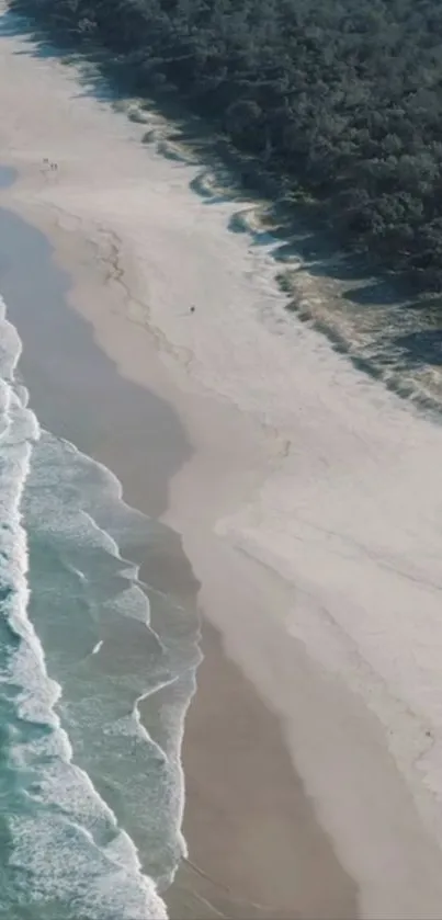 Aerial view of a serene beach with sandy shores and ocean waves.