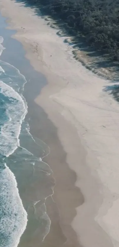 Aerial view of a serene beach with gentle waves and lush green forest.