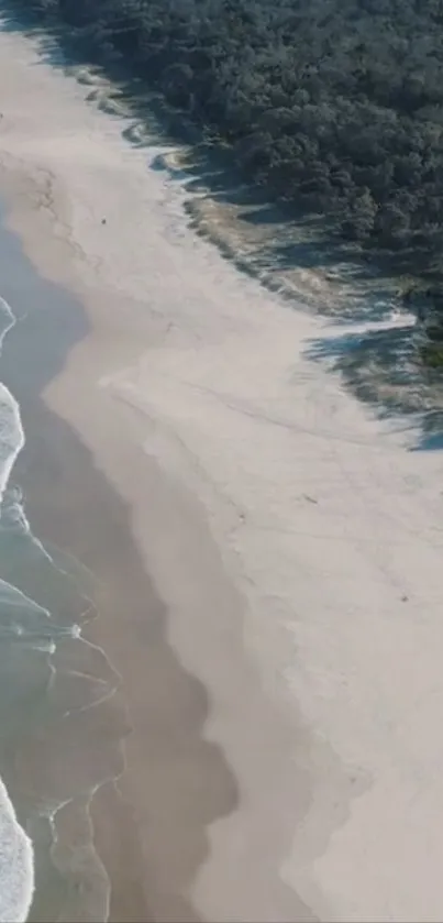 Aerial view of a tranquil beach with waves meeting the sandy shore.