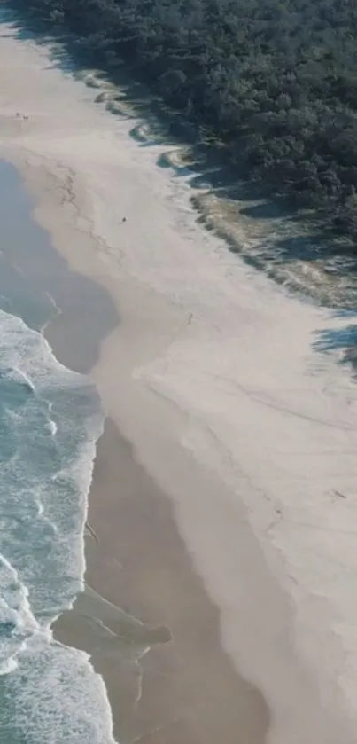 Aerial view of a scenic beach with ocean waves and sandy shore.