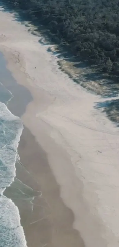 Aerial view of a serene beach with blue waves and soft white sand.
