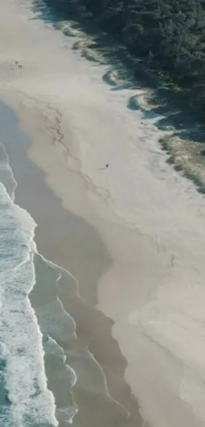 Aerial view of serene beach with waves and greenery for wallpaper.