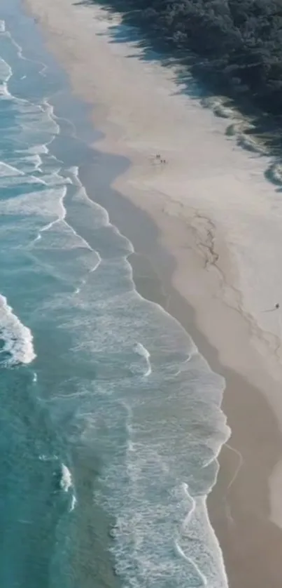 Aerial view of a serene beach with turquoise waves and sandy shore.