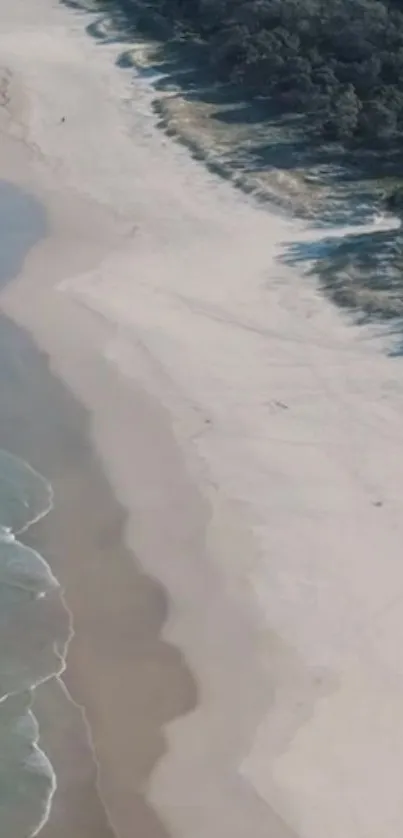 Aerial view of a tranquil beach and ocean waves, perfect for mobile wallpaper.