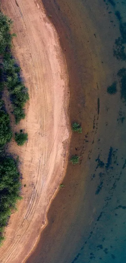 Aerial view of a serene beach with greenery and clear blue water.