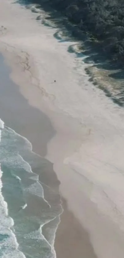 Aerial view of a serene beach with waves and greenery.