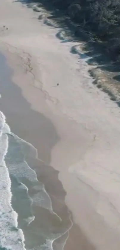 Aerial view of a serene, untouched beach with gentle waves and sandy shores.