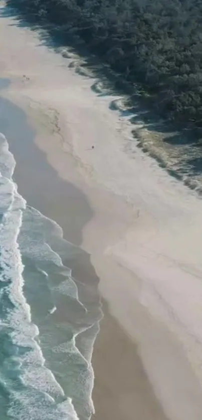 Aerial view of serene beach with waves and sandy shore.