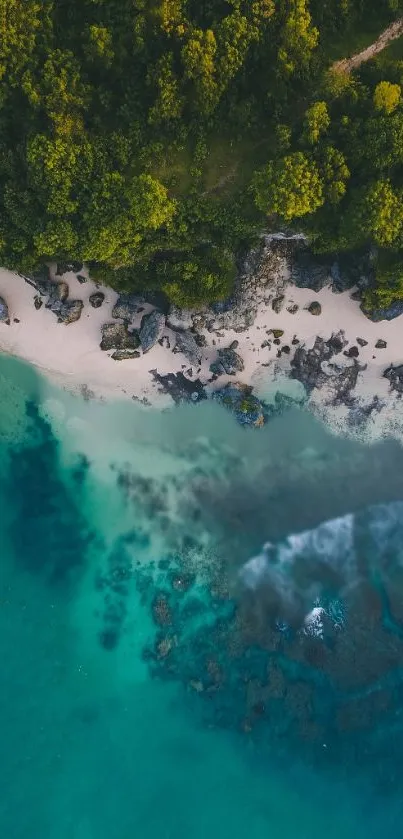 Aerial view of lush greenery meeting a turquoise beach.