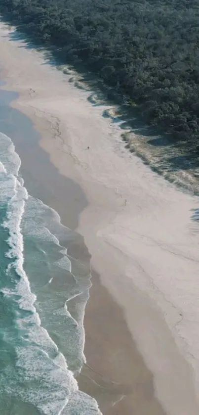 Aerial view of serene beach with ocean waves and forest.