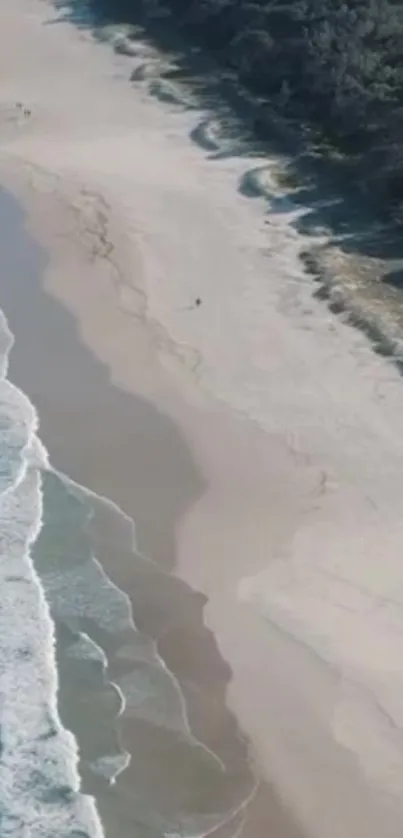 Aerial view of a serene beach with gentle ocean waves and sandy shores.