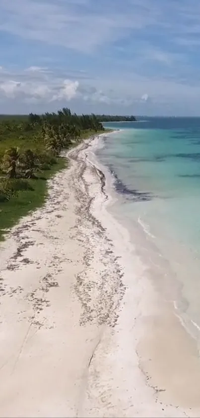 Aerial view of a serene beach with turquoise waters and clean sandy shores.