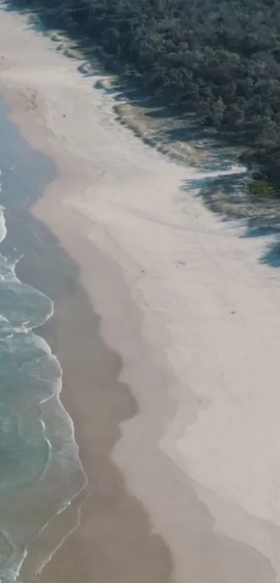 Aerial view of a serene beach with gently lapping waves and lush coastal greenery.